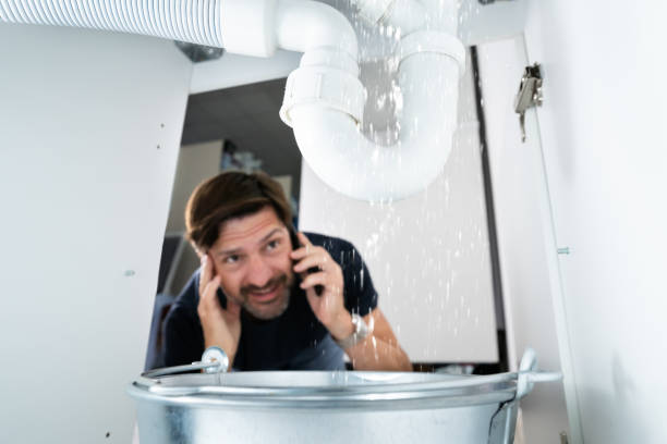 Best Shower Repair Services  in Centreville, AL